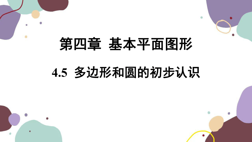 北师版数学七年级上册 4.5多边形和圆的初步认识课件 (共28张PPT)