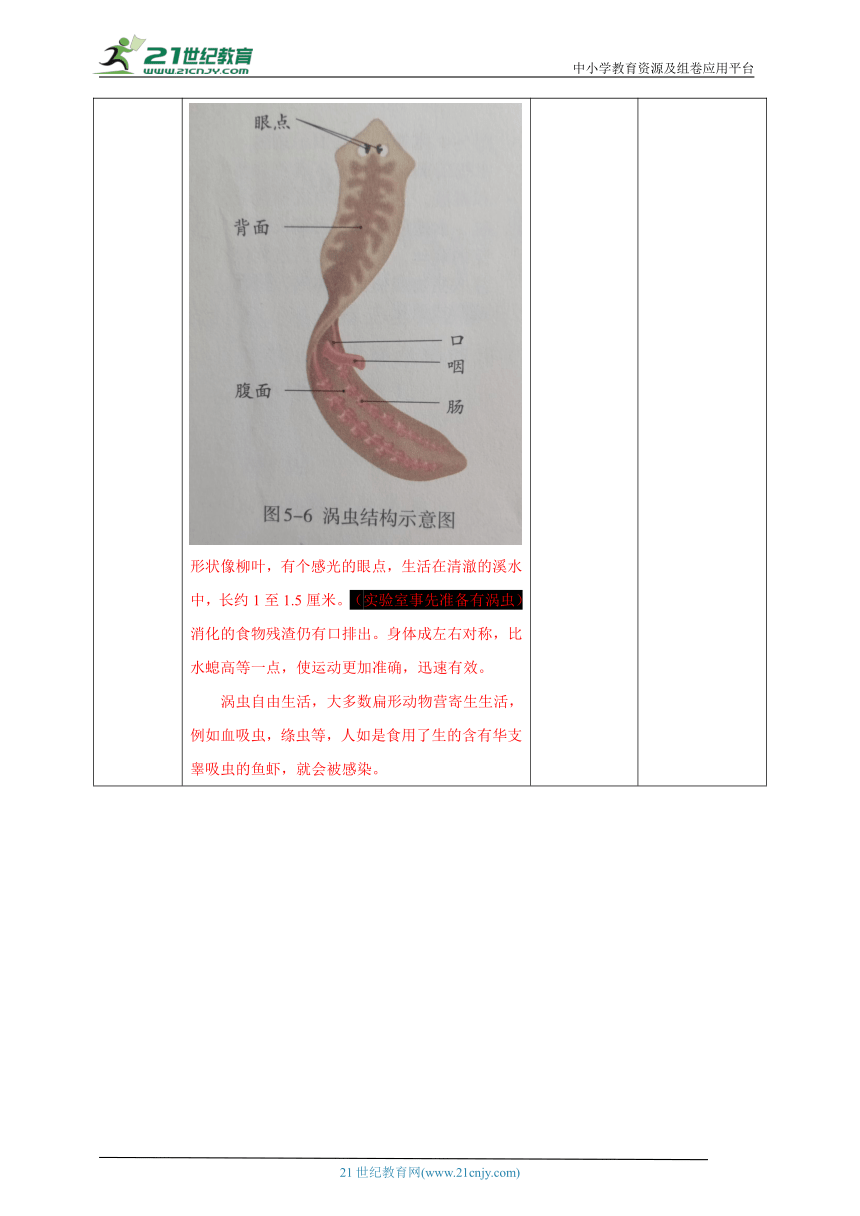 【核心素养目标】初中生物人教版八年级上册 5.1.1腔肠动物和扁形动物 教学设计