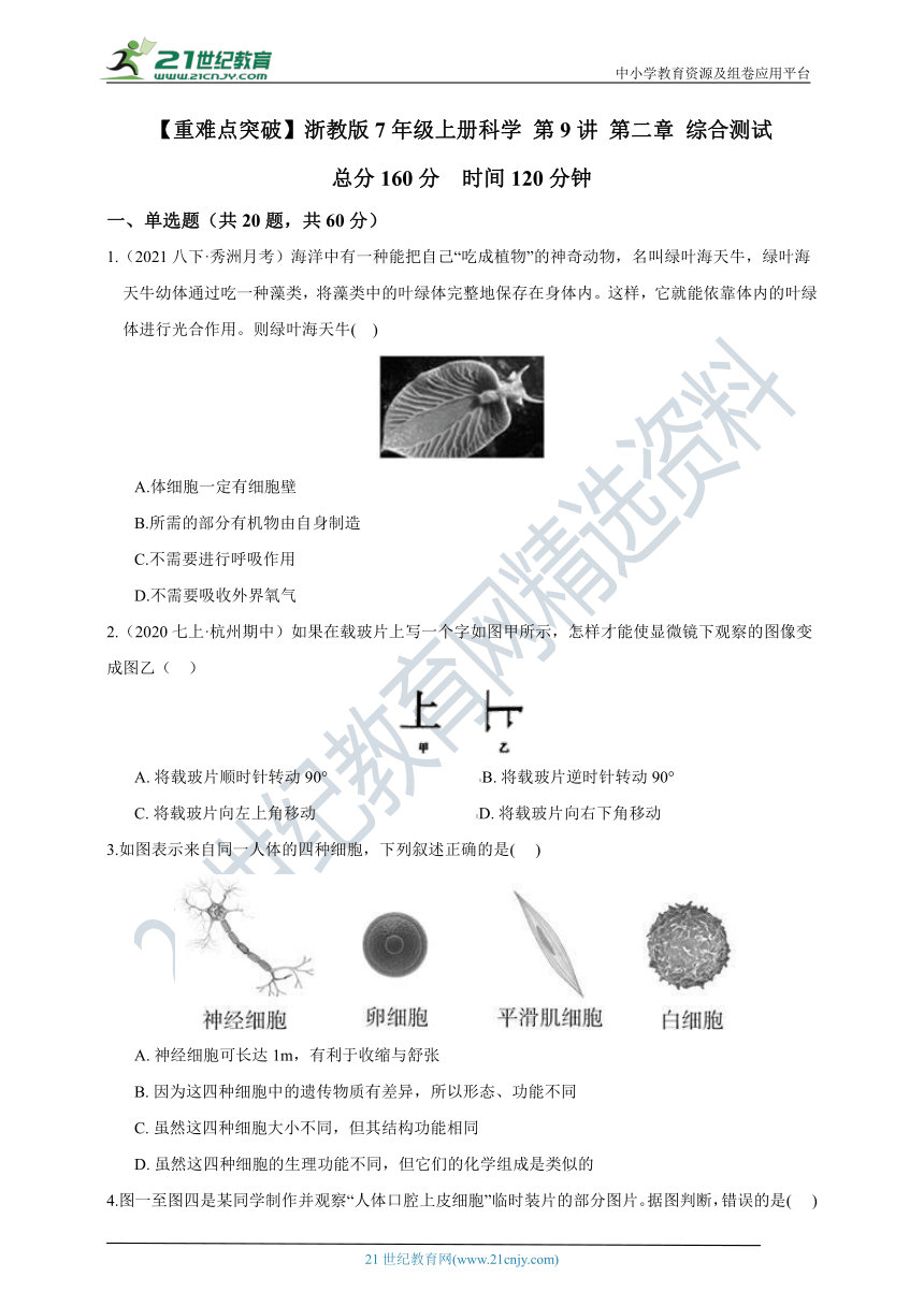 【重难点突破】浙教版7年级上册科学 第9讲 第2章 观察生物 综合测试（含答案）