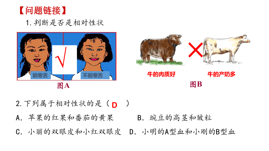 生物的遗传和变异 复习课件