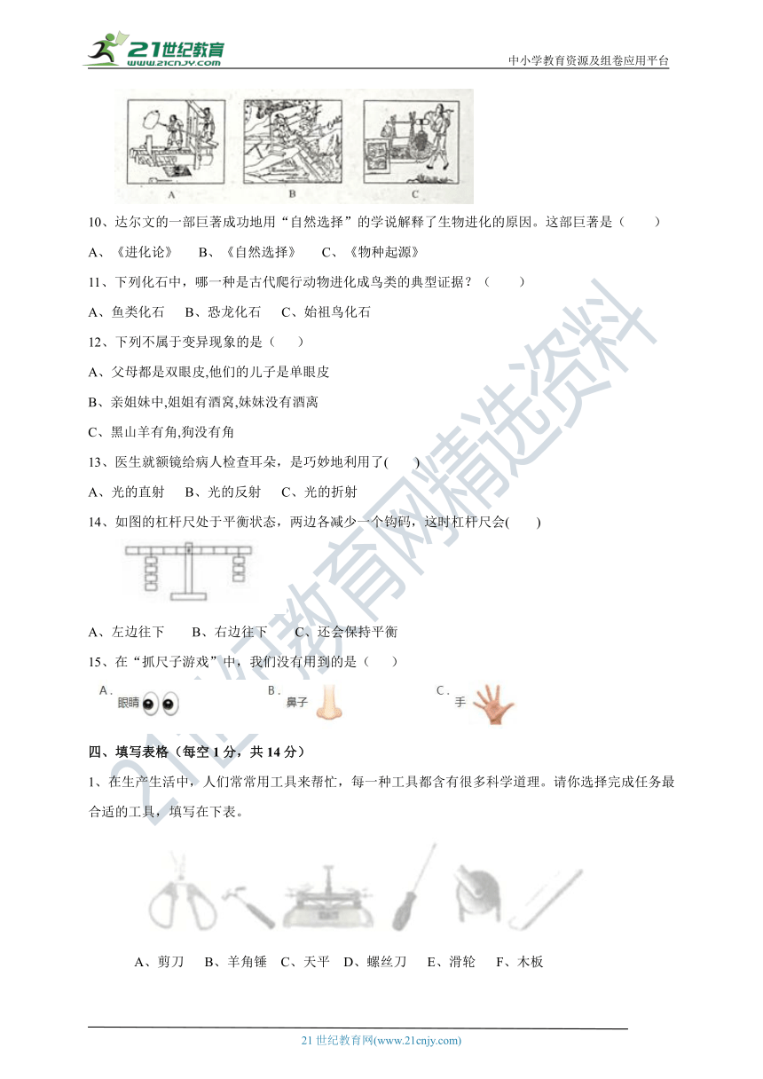 粤教版科学六年级上期末测试卷