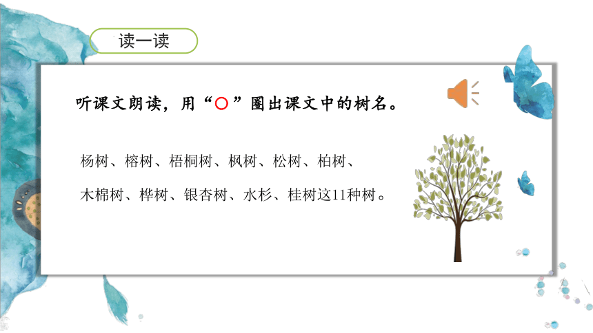 2 树之歌 课件(共36张PPT)