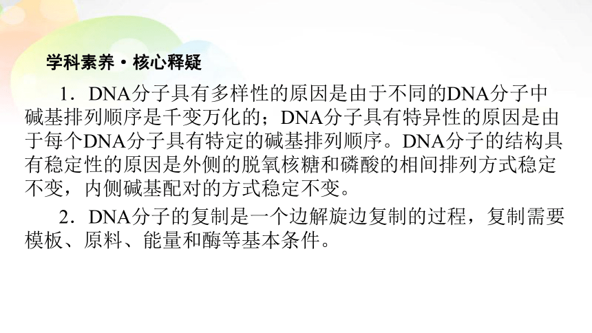 必修2 第2单元 第2讲 DNA分子的结构、复制 课末总结(共10张PPT）
