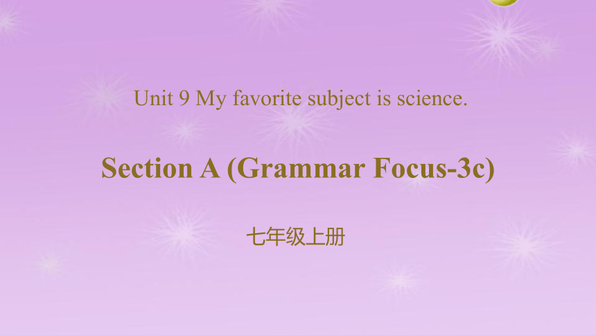 Unit 9 My favorite subject is science_-Section A (Grammar Focus-3c)课件2-人教版（新目标）英语七年级上册(共27张PPT)