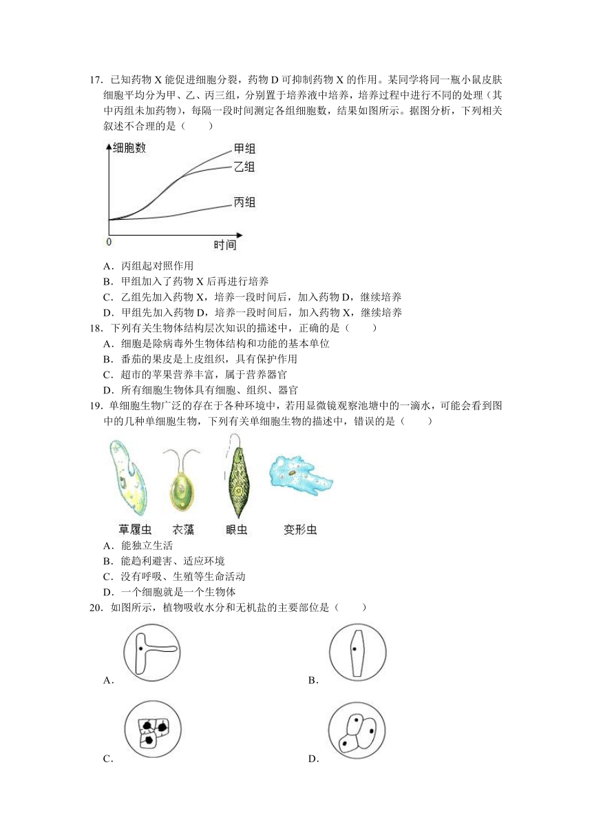 江苏省徐州市睢宁县2020-2021学年七年级（下）联考生物试卷（4月份）（word版含解析）