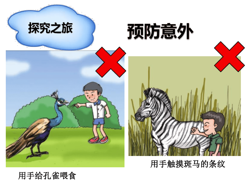 沪科黔科版 小学综合实践活动 四年级下册 户外活动安全记心中 活动二 外出游玩讲安全 课件（19张ppt）