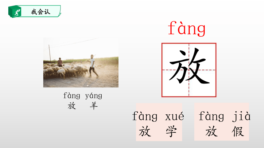 13.乌鸦喝水 课件(共33张PPT)