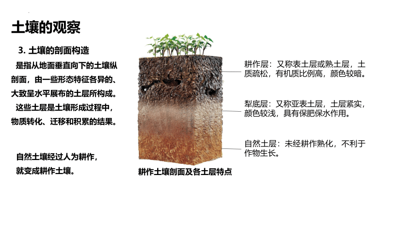 5.2土壤课件（共34张ppt）