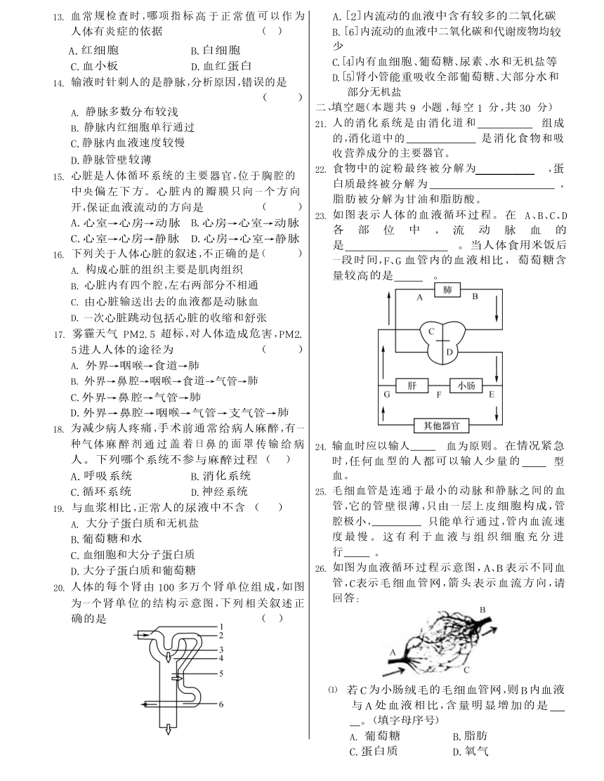 华东师大版科学八年级上册  第5章 人体的物质和能量的转化 尖子生提高测试卷（含答案）