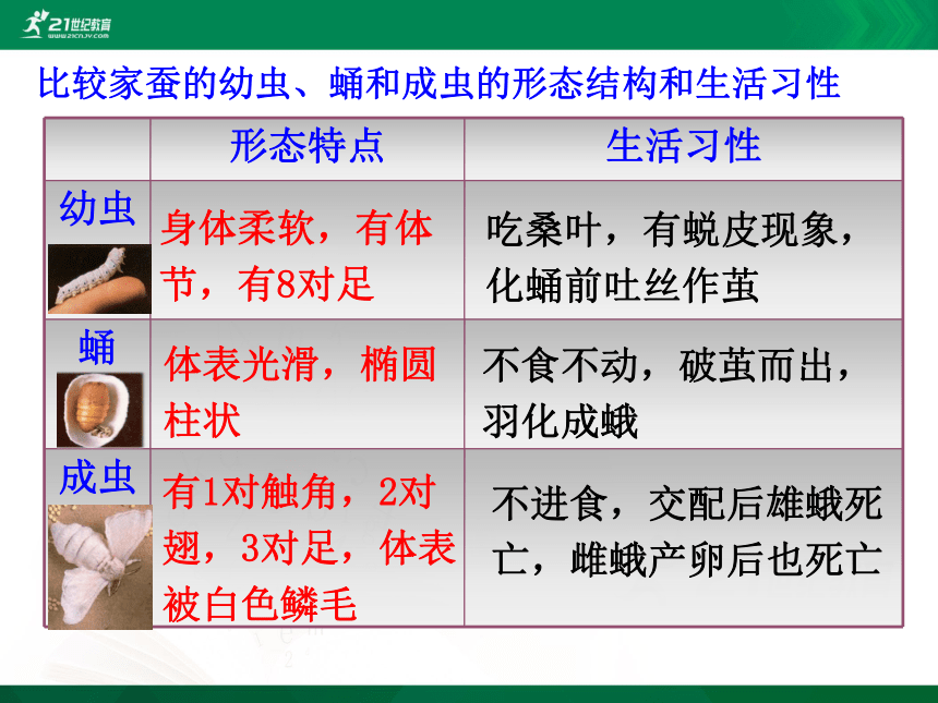 7.1.2昆虫的生殖和发育 课件(共21张PPT)