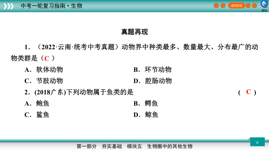 专题16 动物的主要类群-2023年新课标中考生物一轮复习课件（共46张PPT）