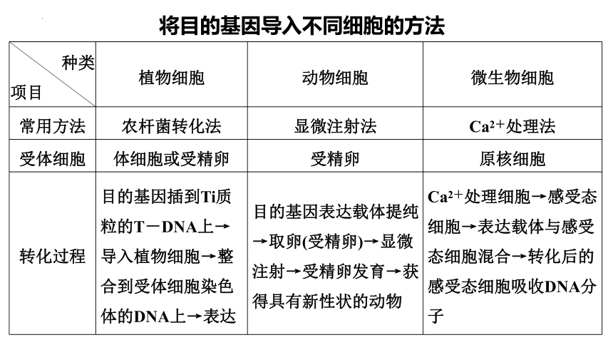 苏教版（2019）选择性必修三   3-1基因工程操作步骤 (共32张PPT)