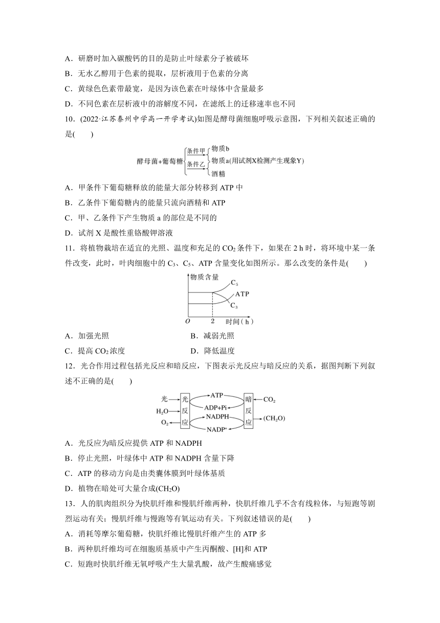 2022-2023学年苏教版2019高中生物必修1 第三章　细胞中能量的转换和利用  章末检测试卷(三)（word版含部分解析）