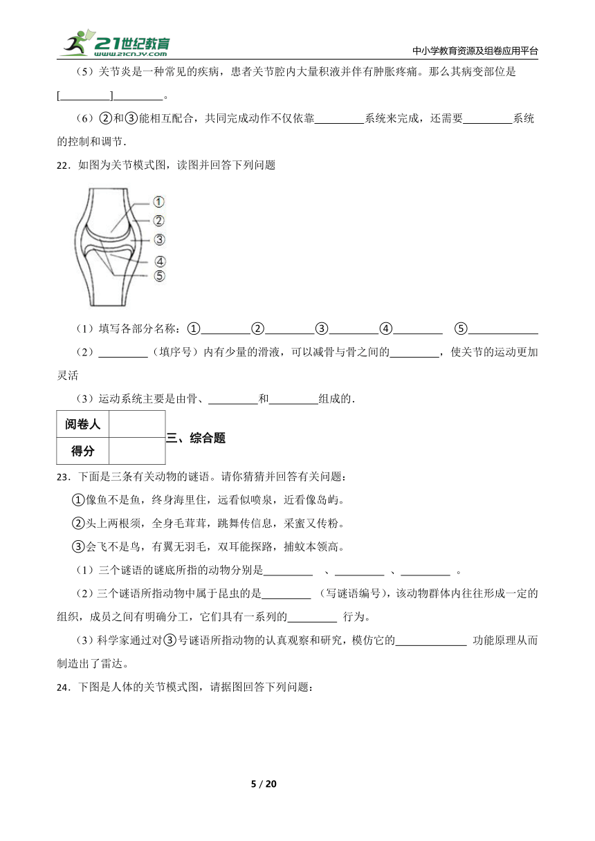 2022年秋期人教版生物八年级上册期末测试题三（含解析）