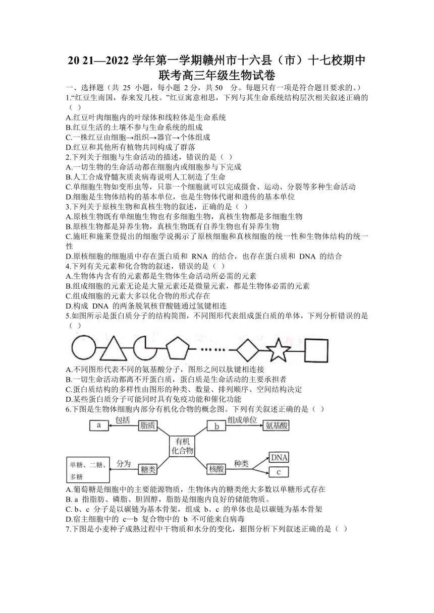 江西省赣州市十六县（市）十七校2022届高三上学期期中联考生物试题（Word版含答案）