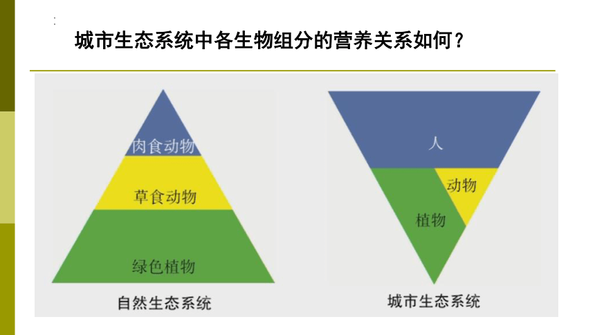 6.1 城市生态与城市环境保护（教学课件）-2022-2023学年八年级生命科学同步精品课堂（沪教版第二册）(共31张PPT)