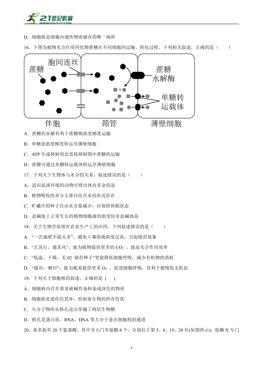 人教版（2019）高中生物必修一 分子与细胞 期末检测（Word版含答案）