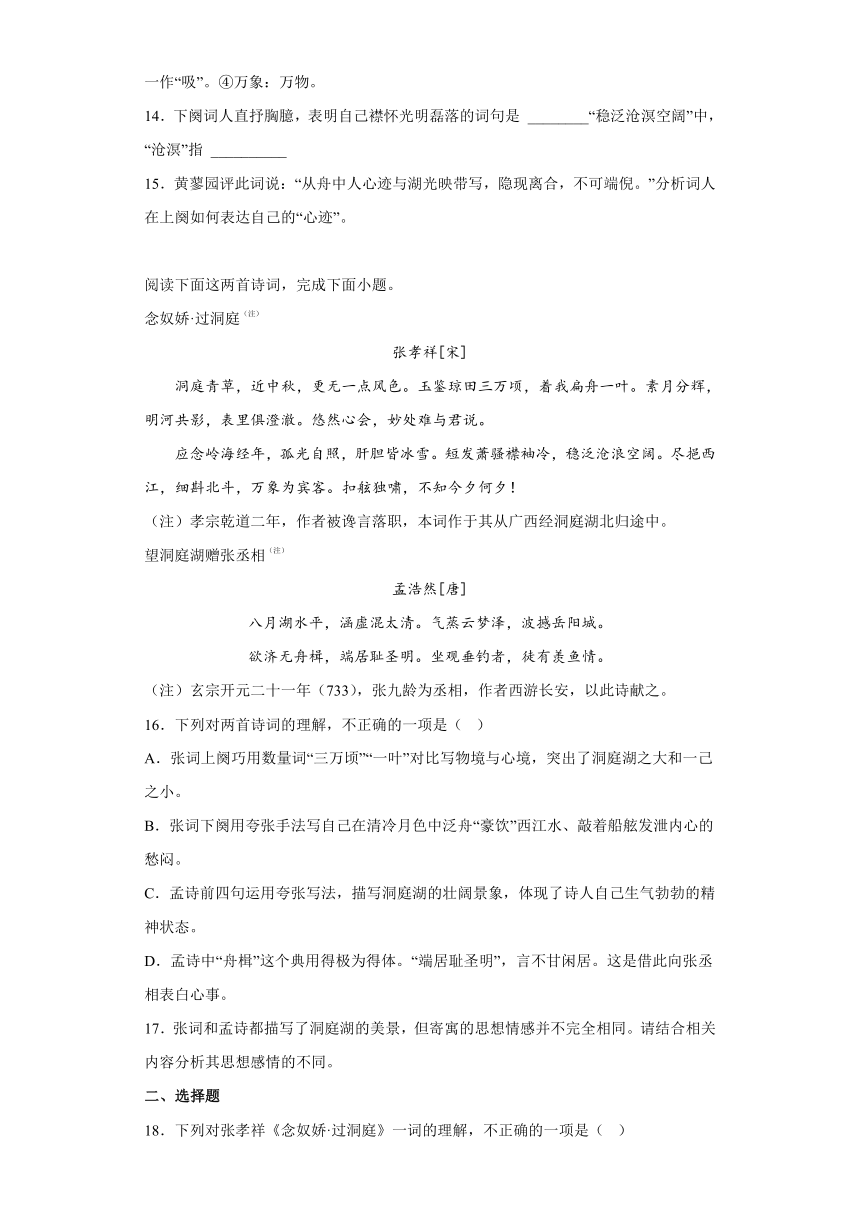 古诗词诵读  念奴娇·过洞庭  课后习题（含答案）-2022-2023学年统编版高中语文必修下册