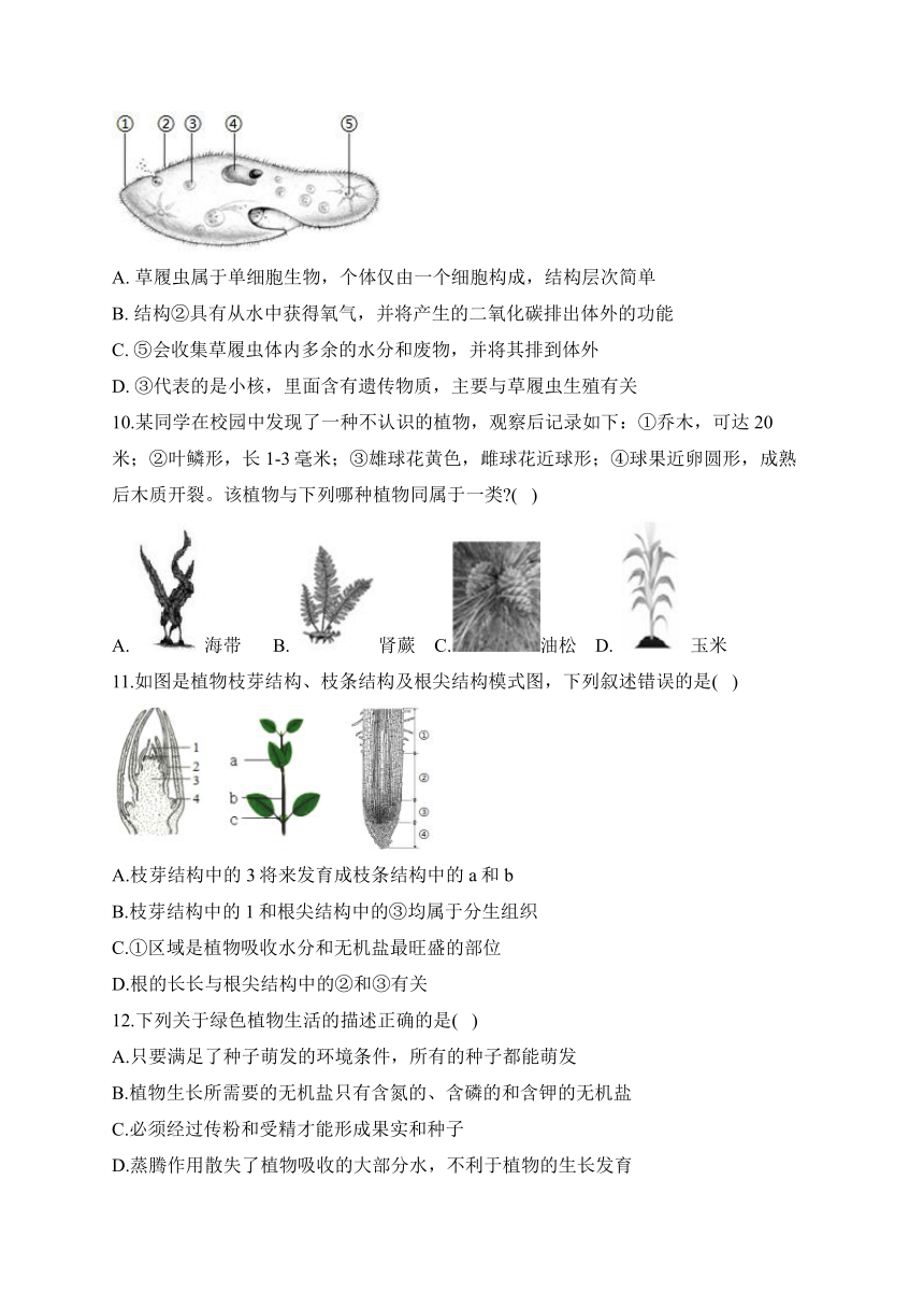 人教版七年级生物下学期开学测试练习 B卷（含解析）