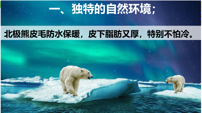 【推荐】2022-2023学年七年级地理下册人教版第十章 极地地区课件(共105张PPT)