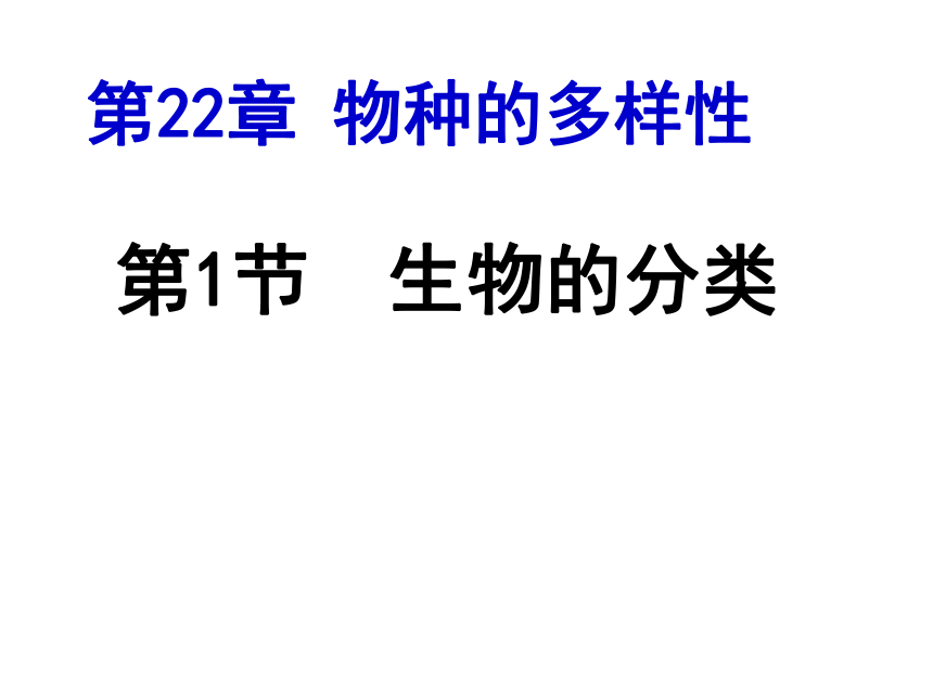 北师大版八年级下册22.1生物的分类  课件（共18张PPT）