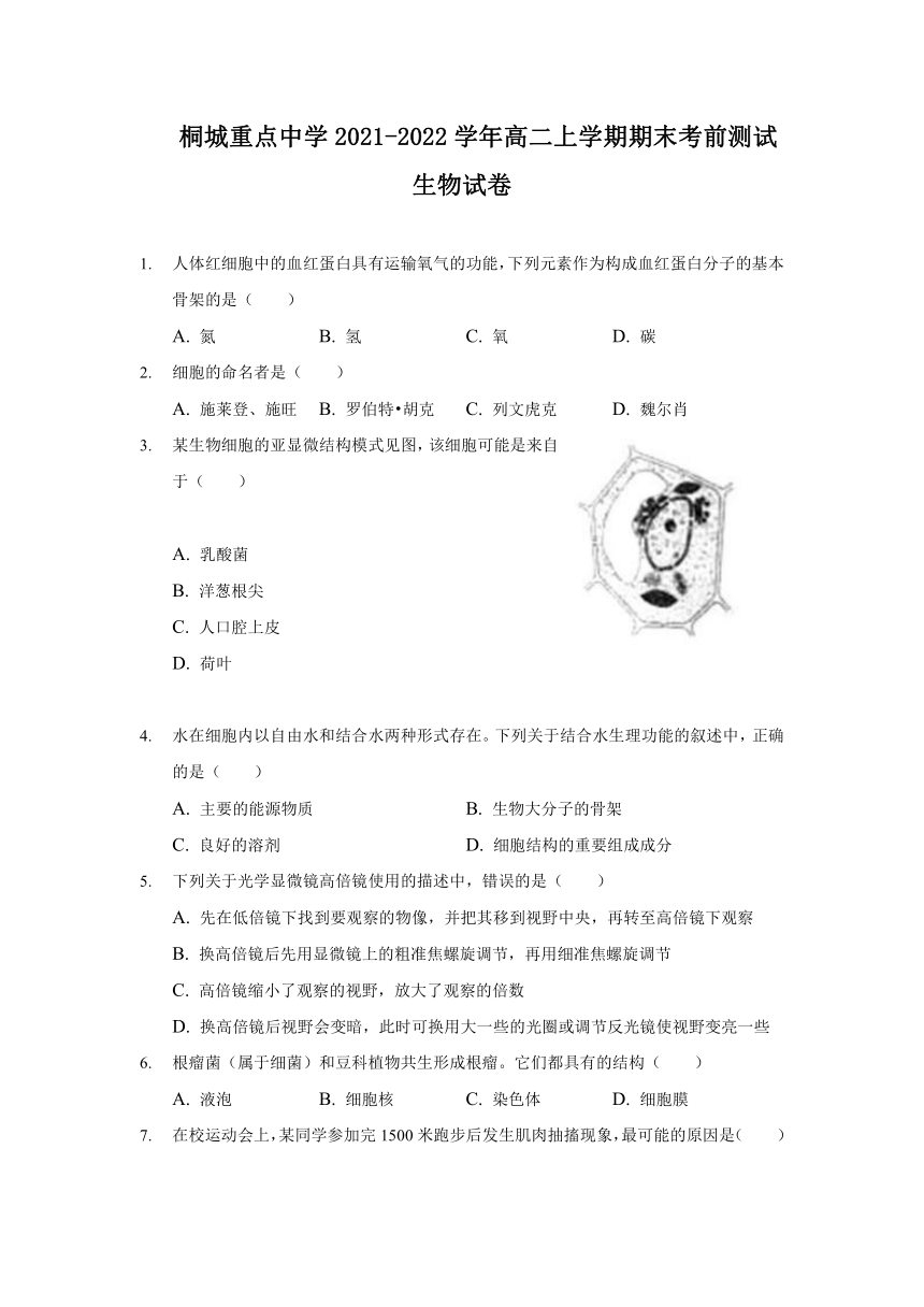 安徽省桐城重点中学2021-2022学年高二上学期期末考前测试生物试题（Word版含答案）