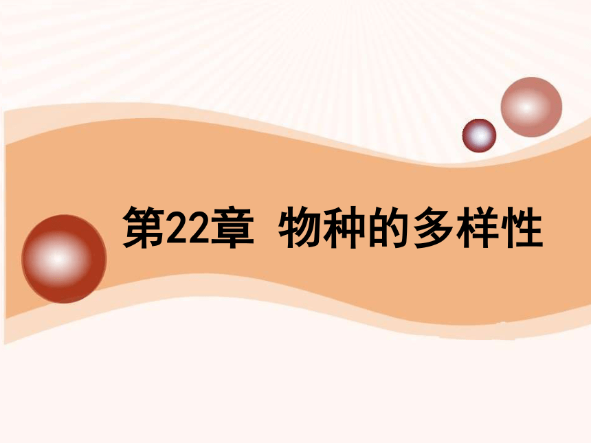 北师大版 八下 7.22. 2原生生物的主要类群  课件（共23张PPT）