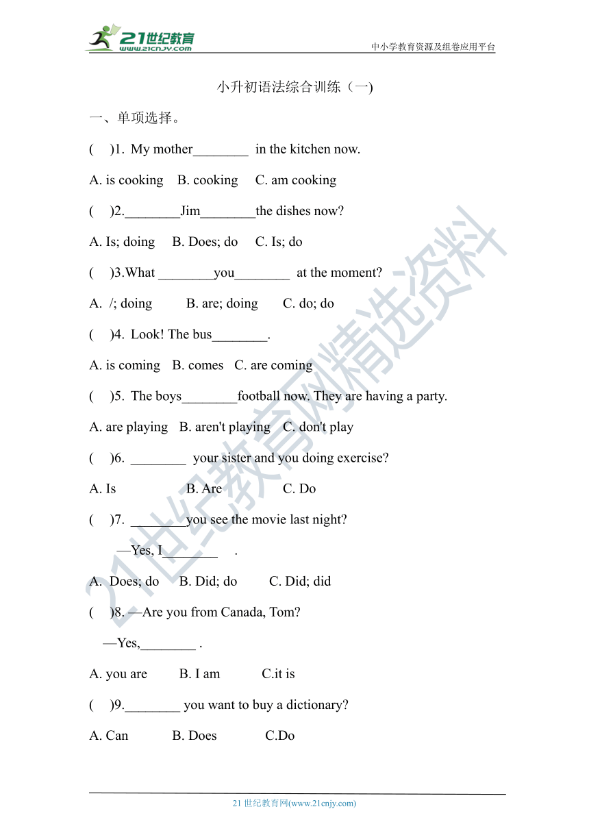 小升初英语语法综合训练（一)（含答案）