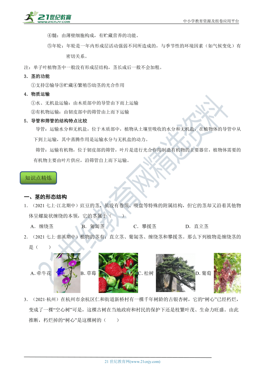 【8年级下册同步讲练测】4.4 植物的茎与物质运输 知识点精练（含答案）