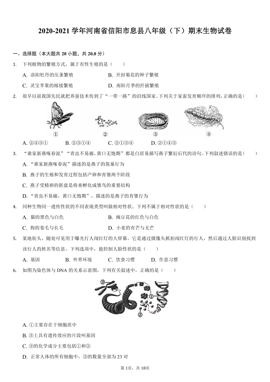 2020-2021学年河南省信阳市息县八年级（下）期末生物试卷（word版，含解析）