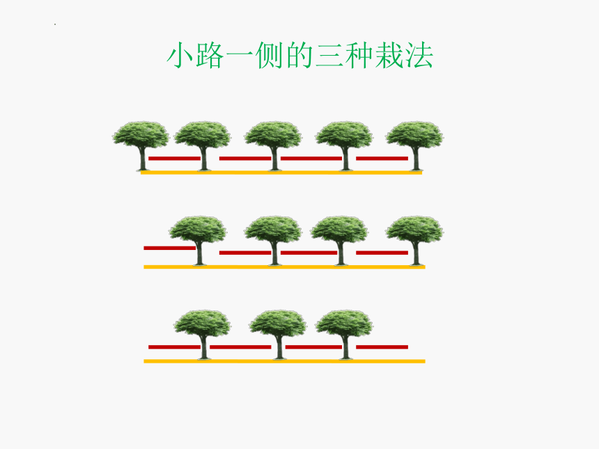 植树问题（课件）-五年级上册数学人教版(共21张PPT)