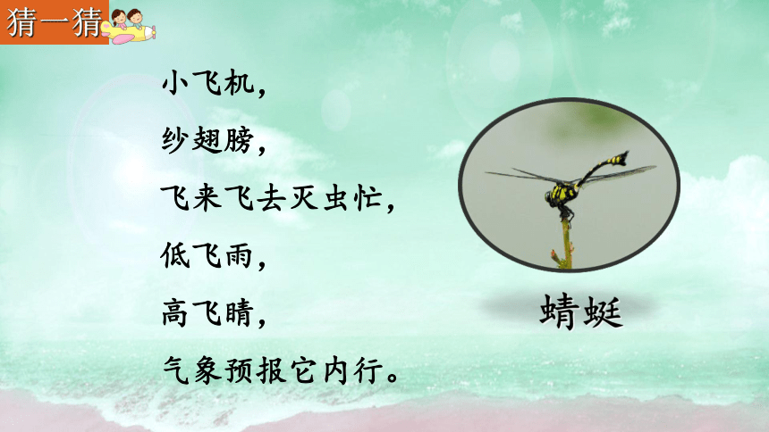 《4  昆虫备忘录》课件（共26张PPT）