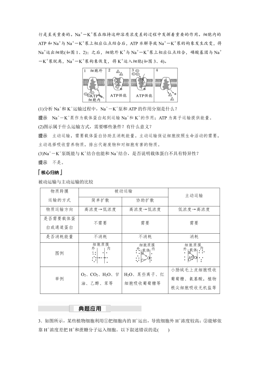 2022-2023学年苏教版（2019）高中生物必修1 第二章 第三节 第2课时　被动运输、主动运输及细胞的胞吞和胞吐（学案+课时对点练 word版含解析）