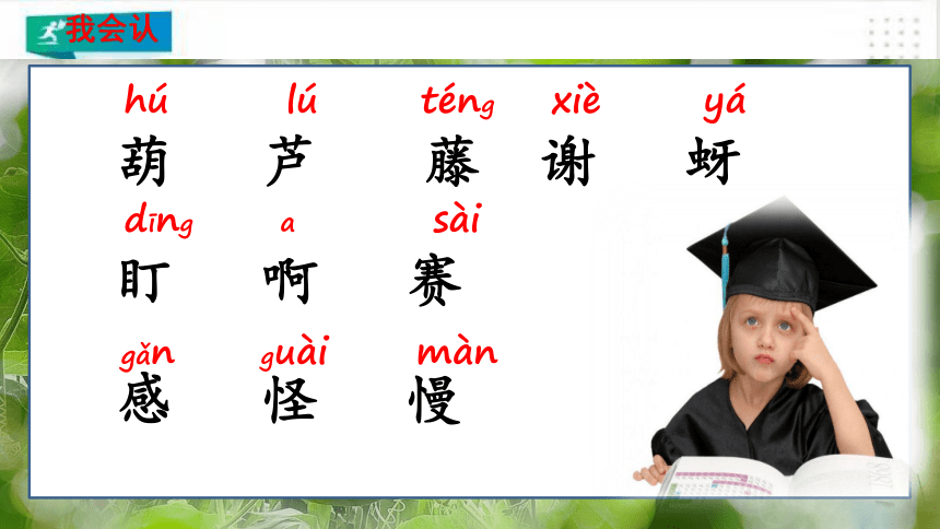 14.我要的是葫芦   课件（共45张PPT）