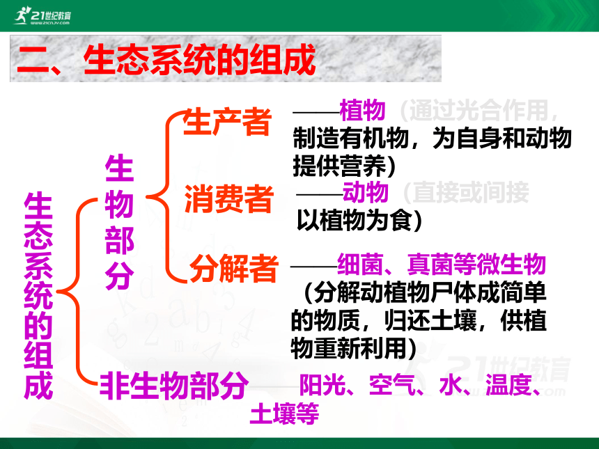 1.2.2生物与环境组成生态系统课件(共29张PPT）