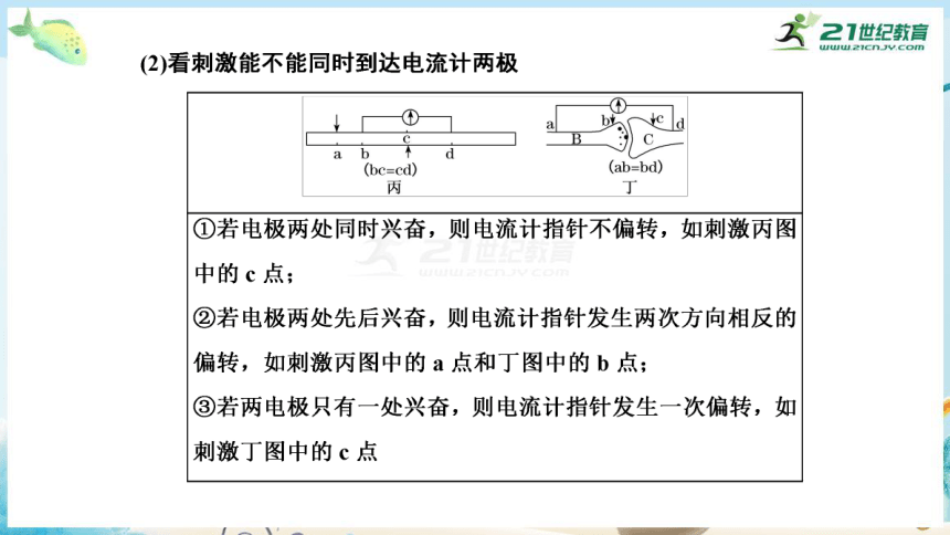 高三生物三轮复习专项突破10  生命活动调节相关实验分析与探究（共29张PPT）