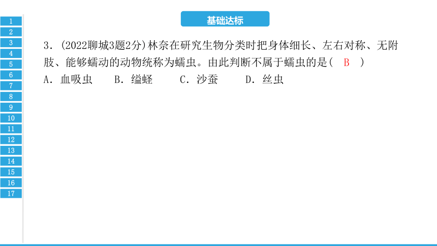 第一章　动物的主要类群-2023年中考生物复习习题课件(共24张PPT)