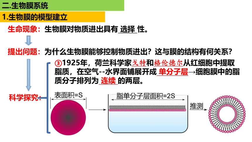 新人教必修1专题复习课件：08 细胞膜、生物膜系统、物质输入输出(共80张PPT)