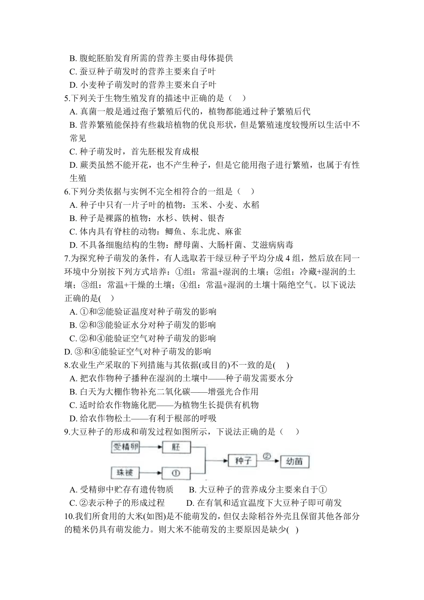 7.2 种子的萌发和幼苗的形成—华东师大版七年级科学下册预习讲义（含解析）