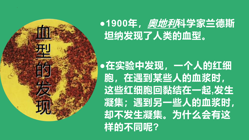 2021--2022学年人教版生物七年级下册4.4.4输血与血型课件(共21张PPT)