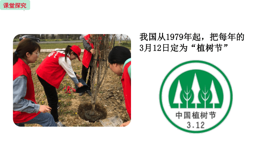 3.7.3绿化，我们的共同行动课件(共26张PPT)2022-2023学年苏教版生物七年级上册