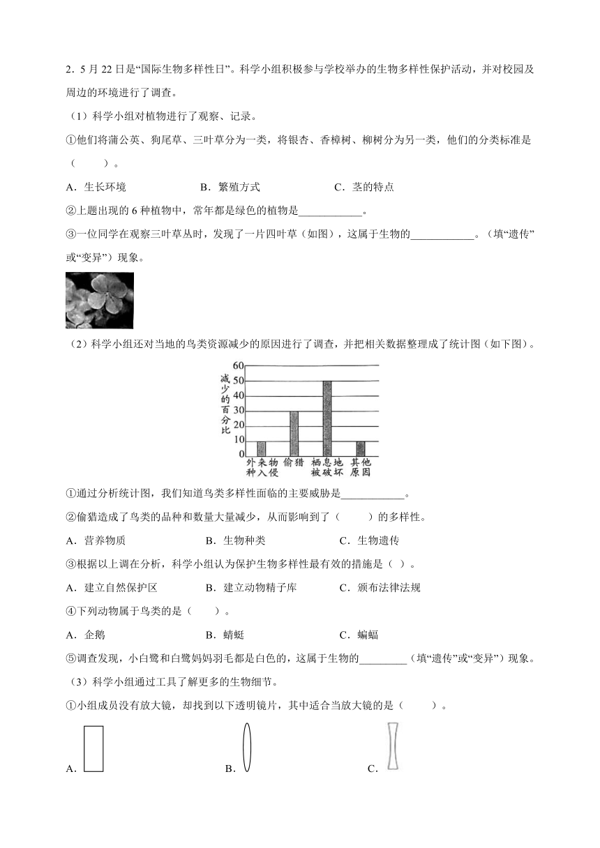 教科版六年级第二学期科学期末抽测试卷（含答案 ）