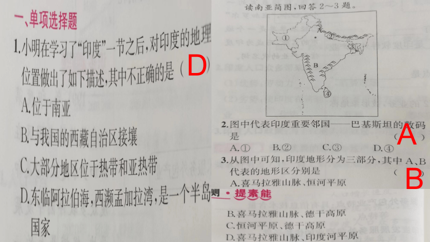 7.3 印度 课件(共44张PPT) 2022-2023学年七年级地理下学期人教版