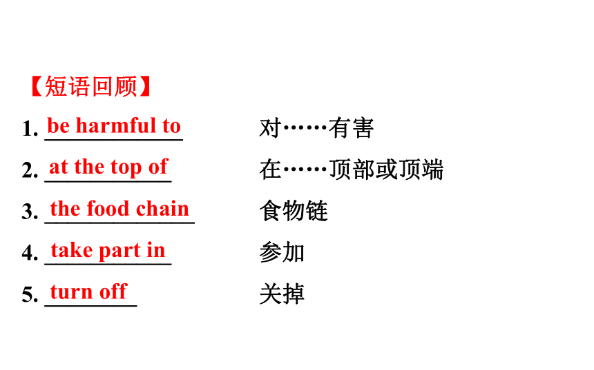 2021-2022学年人教版英语中考复习之九年级　Units 13、14课件（共70张PPT）