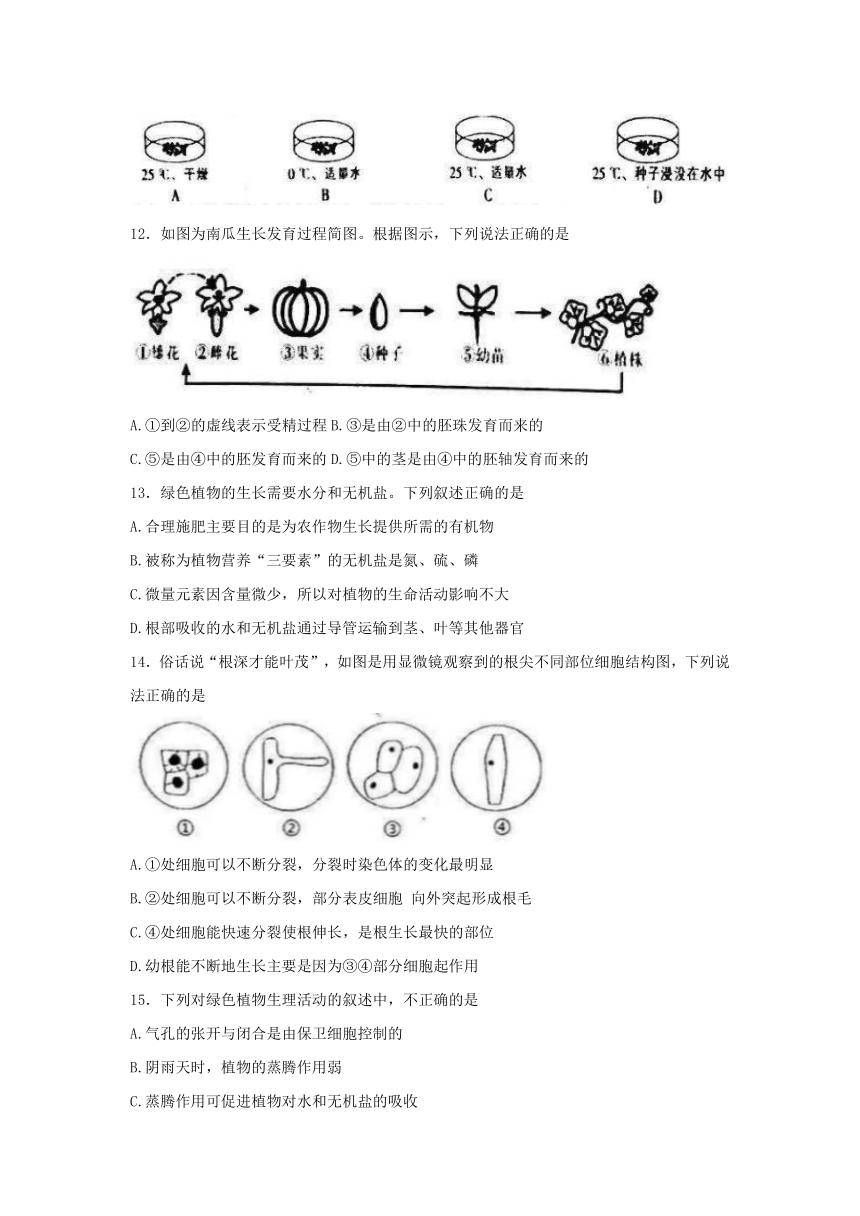 河北省唐山市丰南区2022-2023学年七年级上学期期末生物试题（无答案）