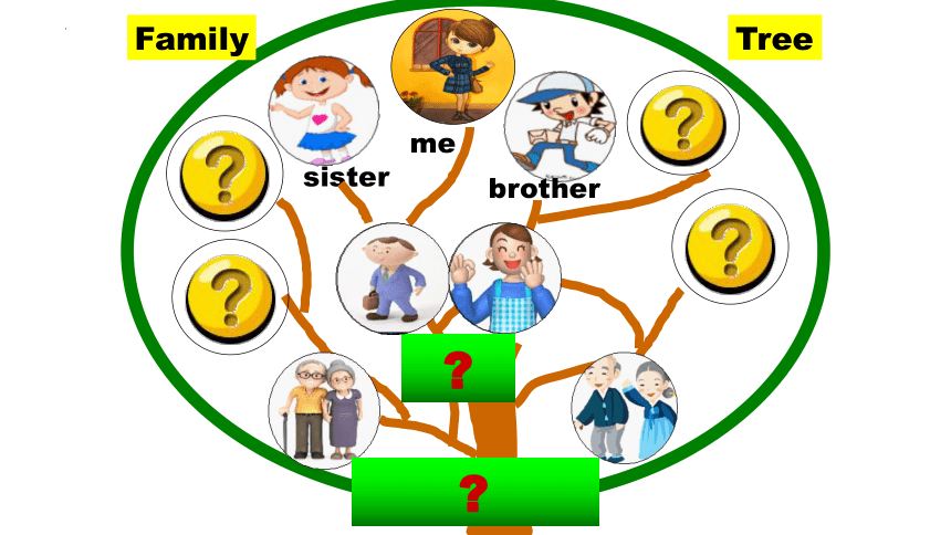Unit 6 Meet my family Part A Let's learn  课件(共17张PPT)