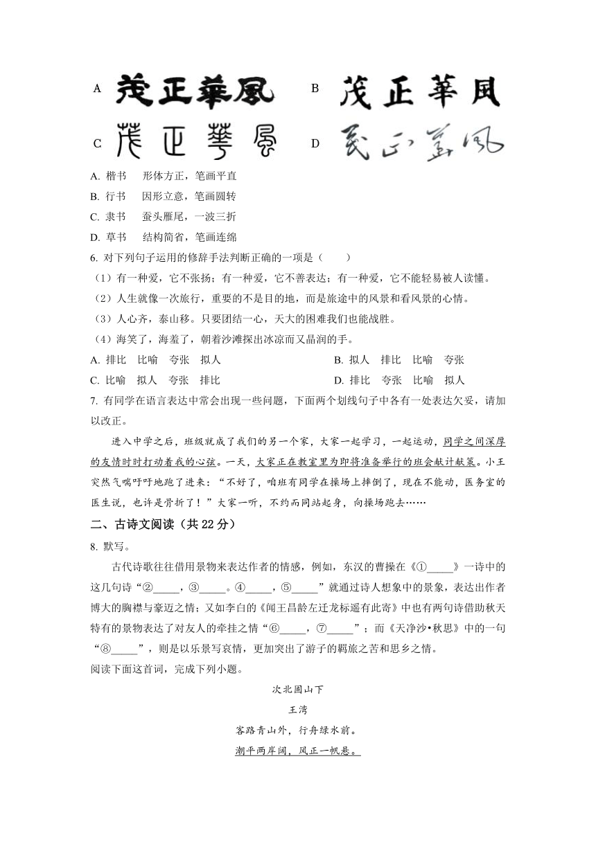 北京师范大学亚太实验学校2022-2023学年七年级上学期期中语文试题（无答案）