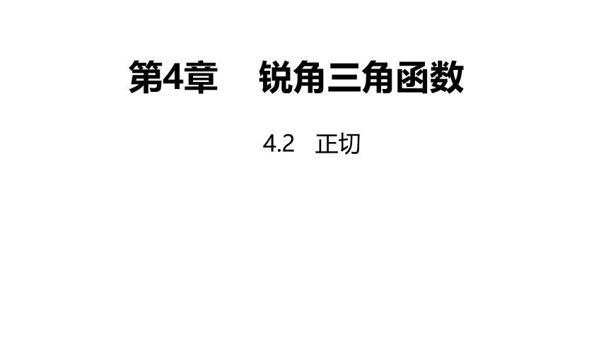 湘教版九年级上册4.2  正切课件（共20张PPT）