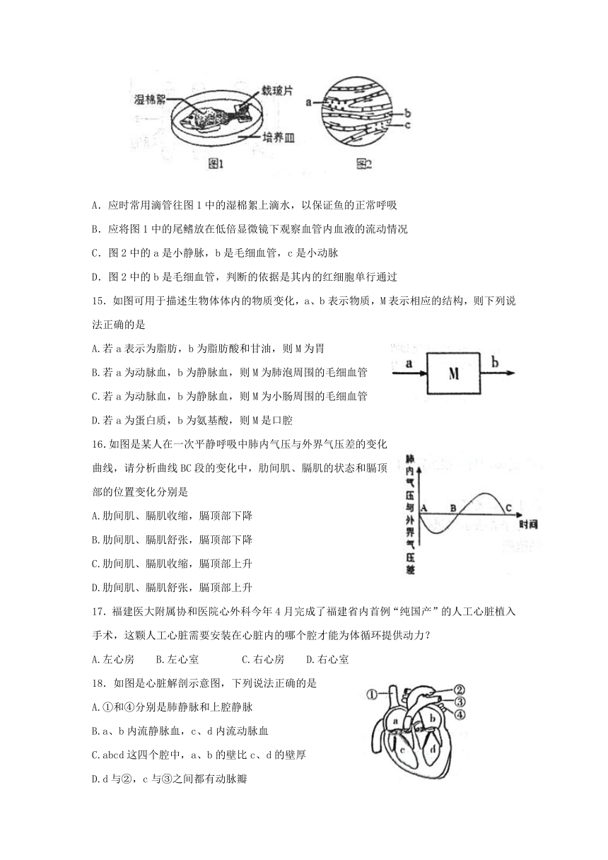 山东省东营市广饶县（五四学制）2021-2022学年七年级上学期期末生物试题（word版无答案）