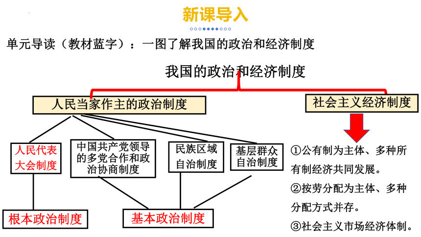 5.1 根本政治制度 课件(共20张PPT) 统编版道德与法治八年级下册